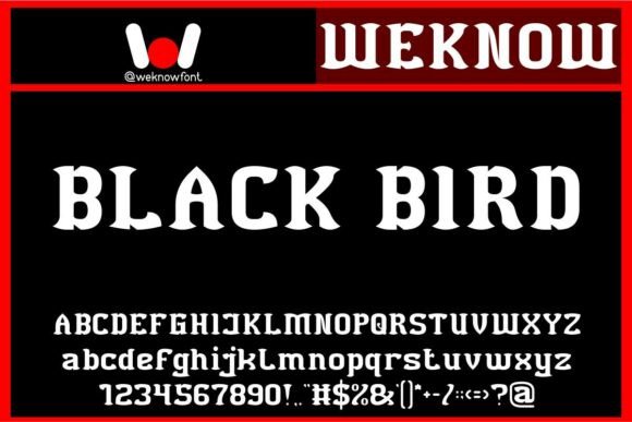 Black Bird Font: Gothic Elegance for Digital Campaigns