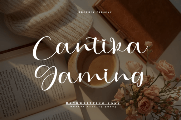 Cantika Gaming Font Review